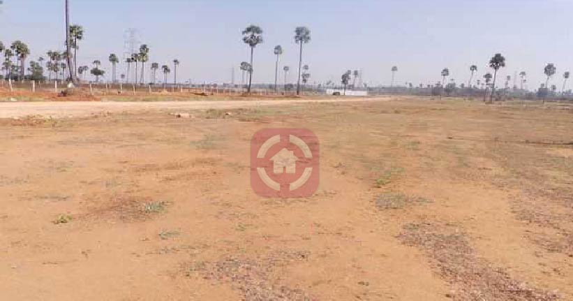 Suchirindia Phoenix Port-cover-06